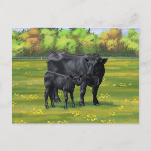 Carte Postale Vache d'Angus noir et veau mou en pâturage d'été
