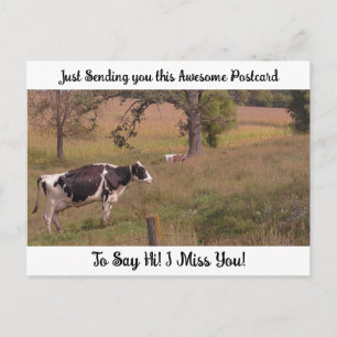 Carte Postale Vache dans un champ "Tu me manques" Disant bonjour