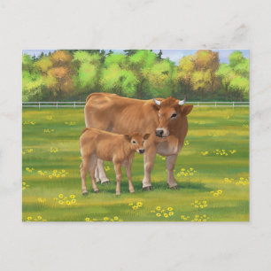 Carte Postale Vache d'Aubrac et veau mignon dans le pâturage de