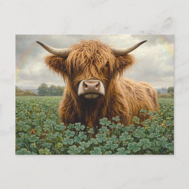 Carte Postale Vache de Highland dans un champ de trèfle (Devant)