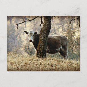 Carte Postale Vache derrière l'arbre