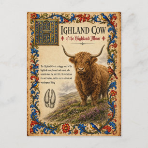 Carte Postale Vache des Highlands, Art de Bestiaire Médiéval