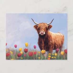 Carte Postale Vache des Highlands dans un champ de tulipes