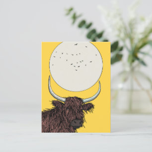 Carte Postale Vache des Highlands d'Écosse