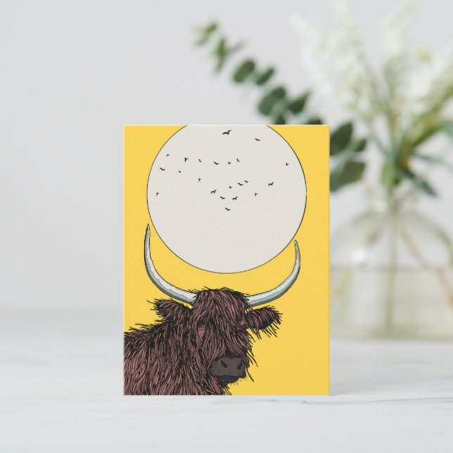 Carte Postale Vache des Highlands d'Écosse (Debout devant)
