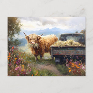 Carte Postale Vache des Highlands mangeant du foin