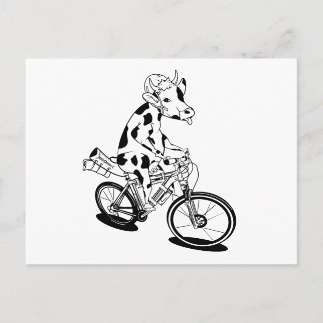 Carte Postale Vache drôle à vélo (Devant)