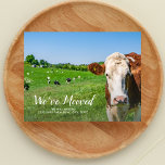 Carte Postale Vache drôle, Nouvelle Maison, Adresse personnalisé<br><div class="desc">Faites savoir à votre famille et à vos amis que vous avez déménagé et que vous avez une nouvelle adresse avec cette drôle de carte postale avec une vache disant "We've Mooooved" - ajoutez une note personnalisée et une nouvelle adresse à l'arrière. Amusant, moderne, simple et facile - la carte...</div>