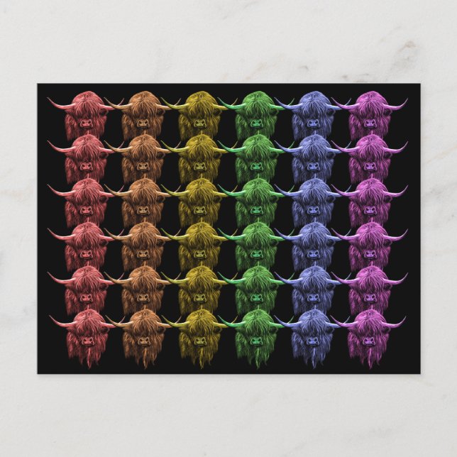 Carte Postale Vache écossaise des Highlands (Devant)