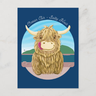 Carte Postale Vache écossaise Highland Avec Cheveux Salé Océan