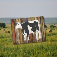 Vache Holstein avec fond de planches anciennes