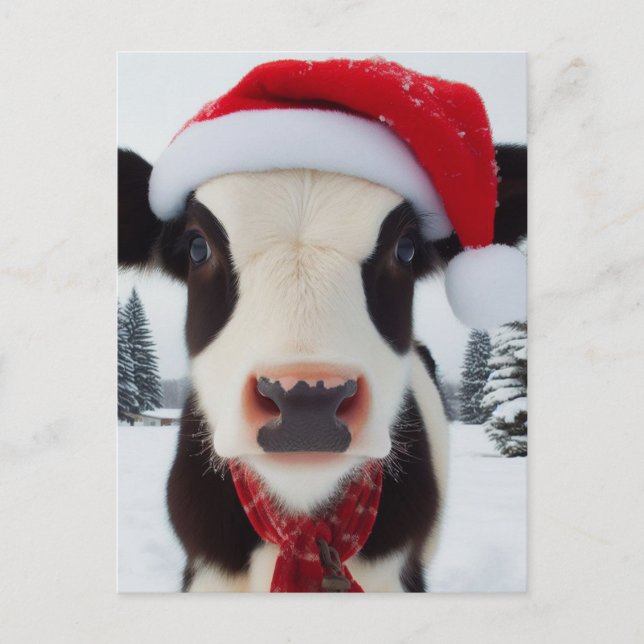 Carte Postale Vache laitière adorable dans un chapeau de Père No (Devant)