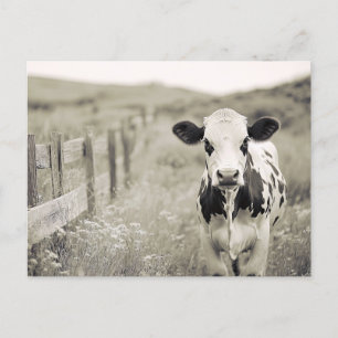 Carte Postale Vache laitière de style vintage dans un champ