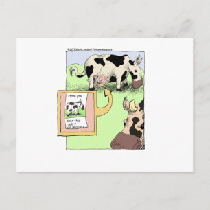 Carte Postale Vache Perdue Cadeaux et Objets de Collection Drôle