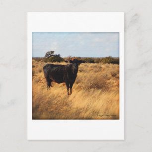 Carte Postale Vache sur la chaîne