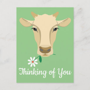Carte Postale Vache Vous Pensant Bonjour Vous Manquez Ferme Agri