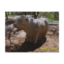 Vaches à l'Arboretum