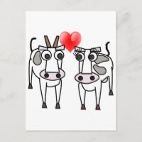 Vaches amoureuses