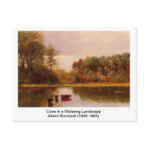 Vaches dans un paysage arrosant par Albert B.