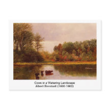 Vaches dans un paysage arrosé par Albert B.
