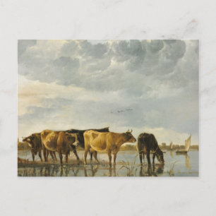 Carte Postale Vaches dans une rivière Aelbert Cuyp