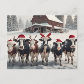 Carte Postale Vaches de Noël amusantes
