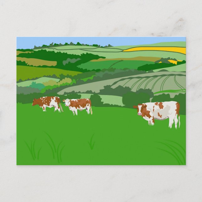 Carte Postale Vaches de pâturage (Devant)