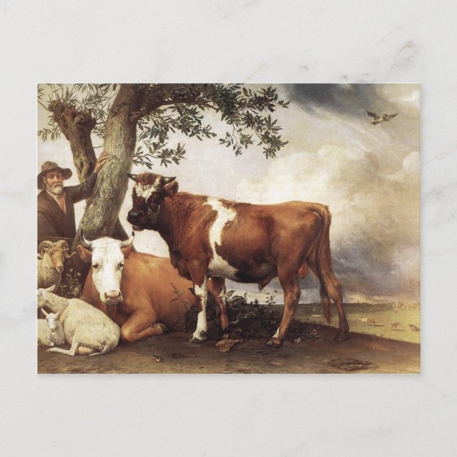 Carte Postale Vaches par Potter (Devant)
