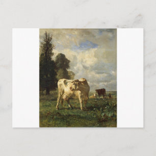 Carte Postale Vaches sur le terrain par Troyon constant