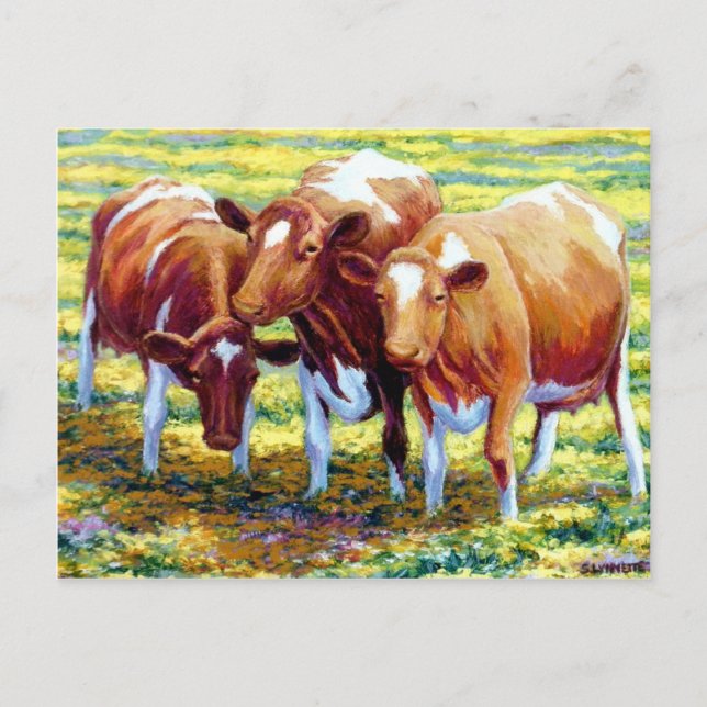 Carte Postale Vaches Vache Laitier Vache dans le pâturage Peintu (Devant)