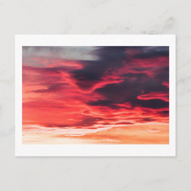 Carte Postale vague féline (Devant)