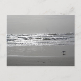 Carte postale Vagues