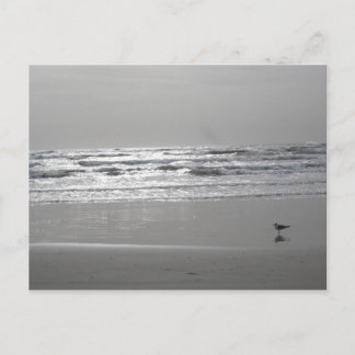 Carte postale Vagues