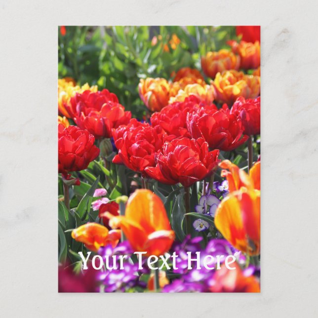 Carte Postale Vagues de Crimson floral tombées (Devant)