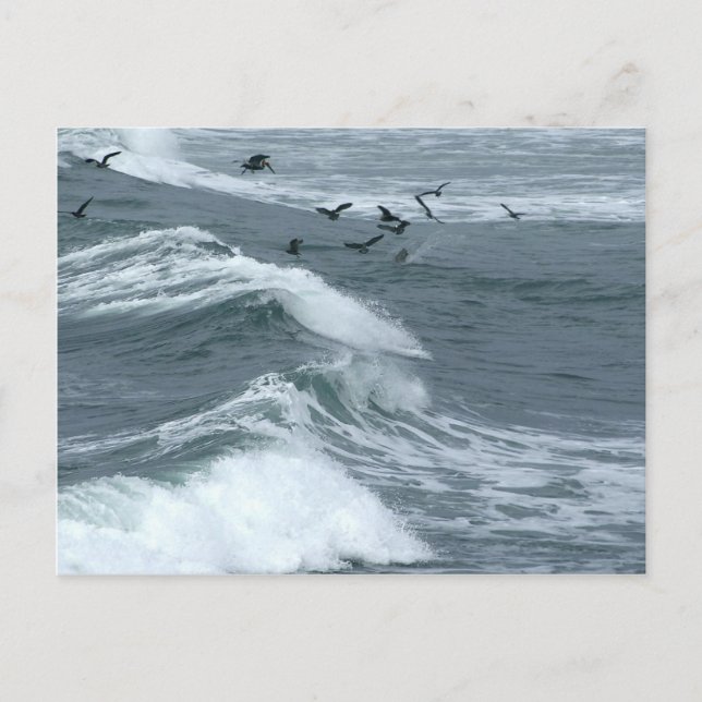 Carte Postale Vagues Vue Des Falaises Du Coucher Du Soleil À San (Devant)