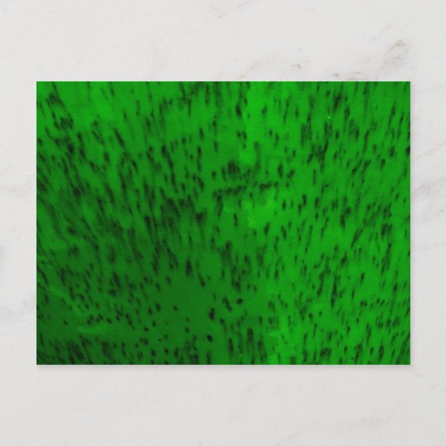 Carte Postale Vaisselle en terre cuite vert citron (Devant)