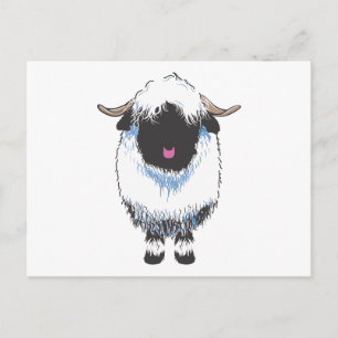 Carte postale Valais Black Nose Sheep