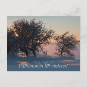 Carte Postale Välkommen jusqu'à la vintern! Vasa Vaasa Finland C