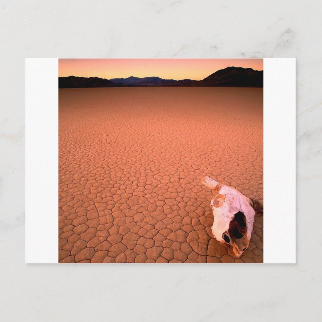 Carte Postale Vallée Abstraite de la mort sèche de l'os (Devant)
