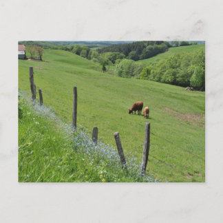 Carte Postale Vallée boisée, Auvergne
