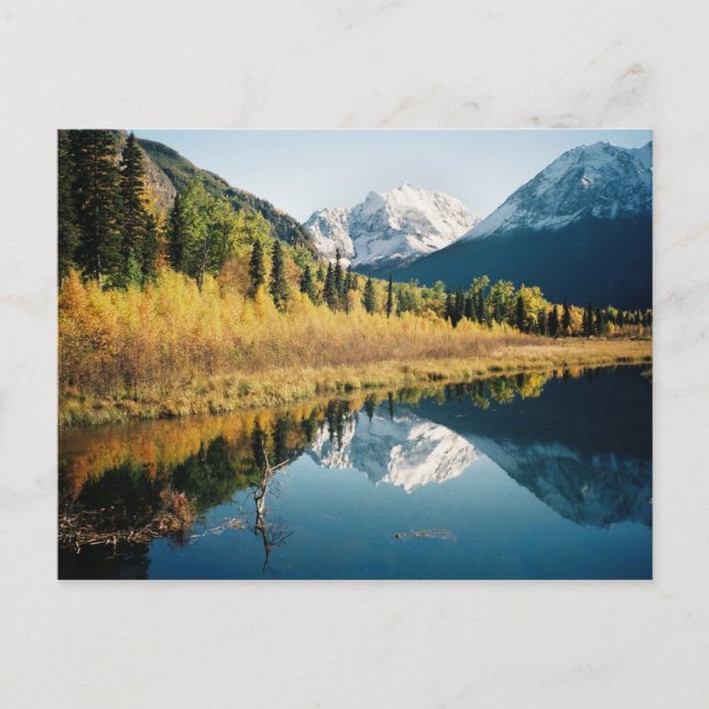 Carte Postale Vallée de l'Eagle River en automne (Devant)