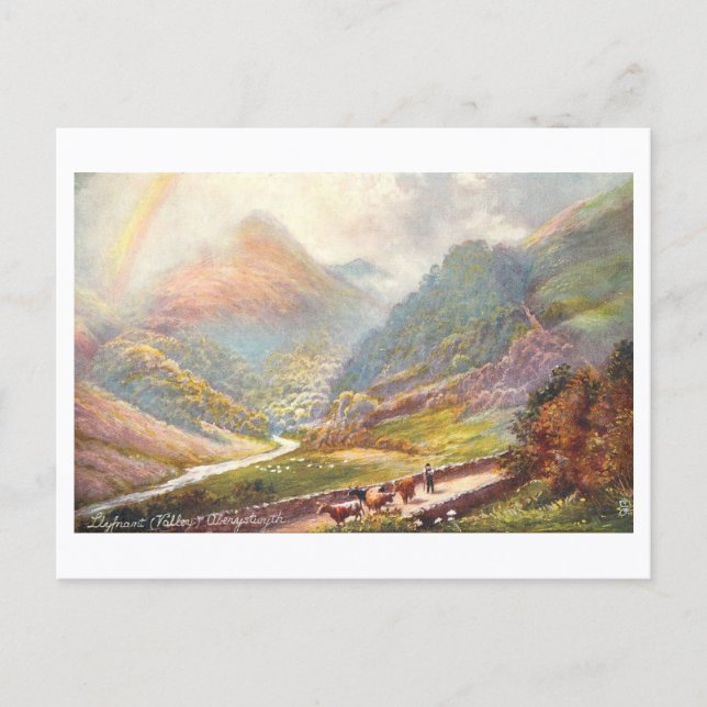 Carte Postale Vallée de Llyfnant à Aberystwyth vintage (Devant)