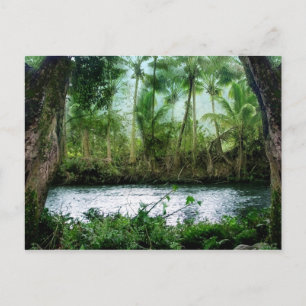 Carte Postale Vallée de Waipio