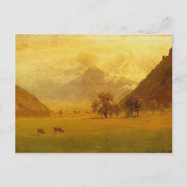 Carte Postale Vallée du Rhône (Devant)