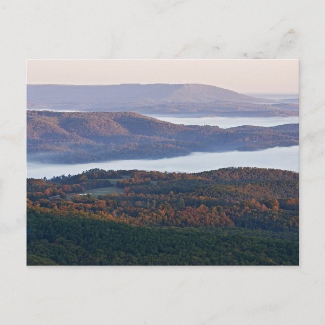 Carte Postale Vallées de Foggy et feuillage d'automne à Ozark (Devant)