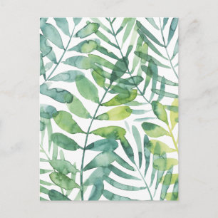 Carte Postale Valse Frond - Feuilles Frond Palm