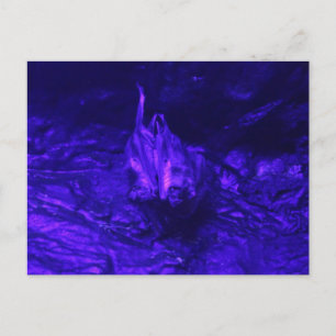 Carte Postale Vampire Bat