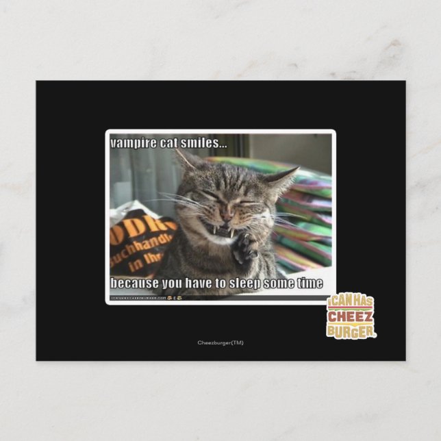Carte Postale vampire chat sourit (Devant)