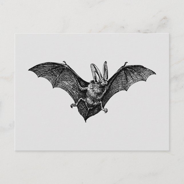 Carte Postale Vampire gothique de chauve-souris vintage (Devant)