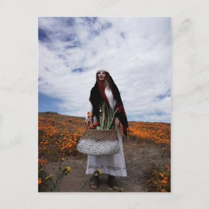 Carte postale Vamplifié Gypsy Trail